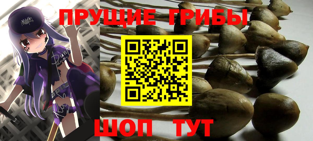 Петрозаводск  Галлюциногенные грибы Magic Shrooms  Вход с VPN 